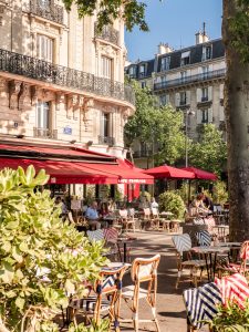 Sunny day tree terrasse Opera Bastille